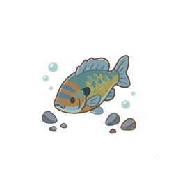 Bluegill
